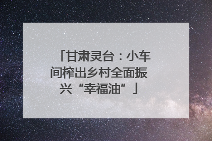 甘肃灵台：小车间榨出乡村全面振兴“幸福油”