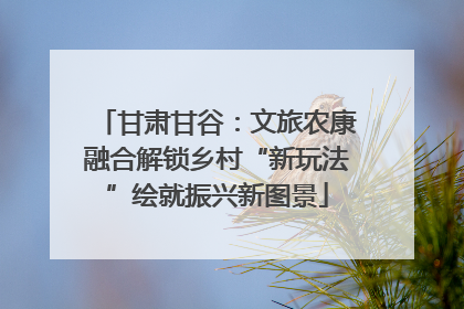 甘肃甘谷：文旅农康融合解锁乡村“新玩法”绘就振兴新图景