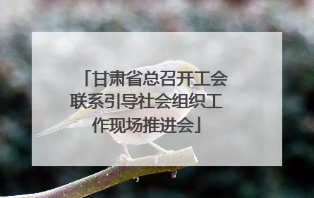 甘肃省总召开工会联系引导社会组织工作现场推进会