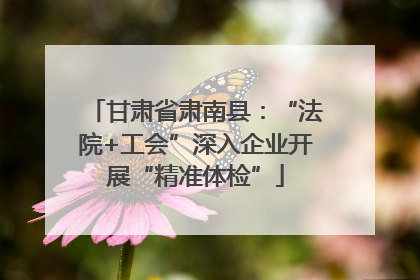 甘肃省肃南县：“法院+工会”深入企业开展“精准体检”