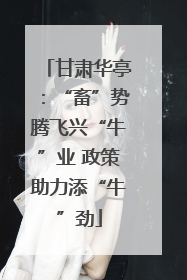 甘肃华亭：“畜”势腾飞兴“牛”业 政策助力添“牛”劲