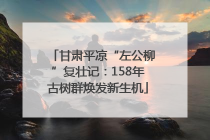 甘肃平凉“左公柳”复壮记：158年古树群焕发新生机