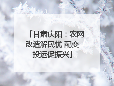 甘肃庆阳：农网改造解民忧 配变投运促振兴