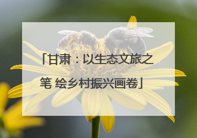 甘肃：以生态文旅之笔 绘乡村振兴画卷