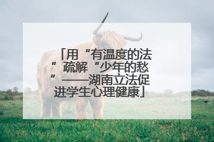 用“有温度的法”疏解“少年的愁”——湖南立法促进学生心理健康