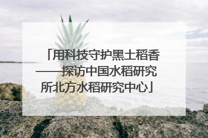 用科技守护黑土稻香——探访中国水稻研究所北方水稻研究中心