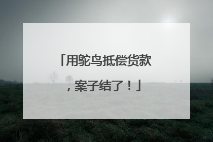 用鸵鸟抵偿货款，案子结了！