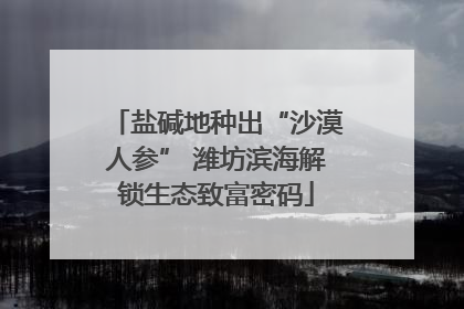 盐碱地种出“沙漠人参” 潍坊滨海解锁生态致富密码
