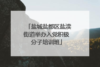 盐城盐都区盐渎街道举办入党积极分子培训班
