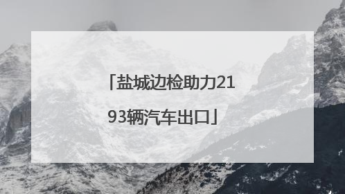 盐城边检助力2193辆汽车出口