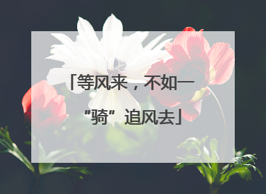 等风来，不如一“骑”追风去