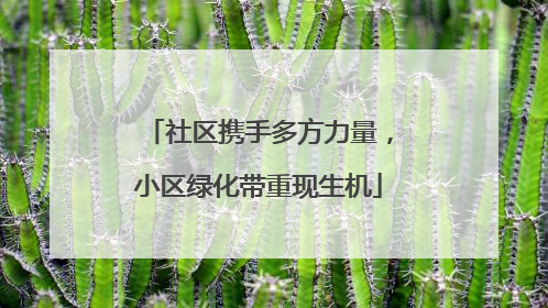 社区携手多方力量，小区绿化带重现生机