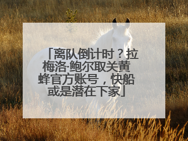 离队倒计时？拉梅洛·鲍尔取关黄蜂官方账号，快船或是潜在下家