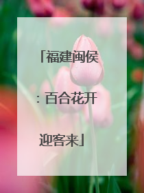 福建闽侯：百合花开迎客来