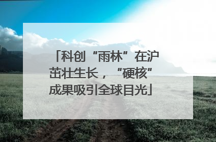 科创“雨林”在沪茁壮生长，“硬核”成果吸引全球目光