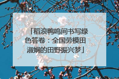 稻浪鸭鸣间书写绿色答卷：全国劳模田淑娴的田野振兴梦