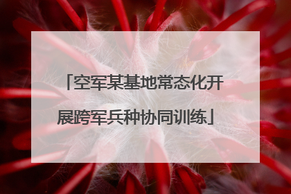 空军某基地常态化开展跨军兵种协同训练