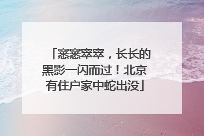 窸窸窣窣，长长的黑影一闪而过！北京有住户家中蛇出没