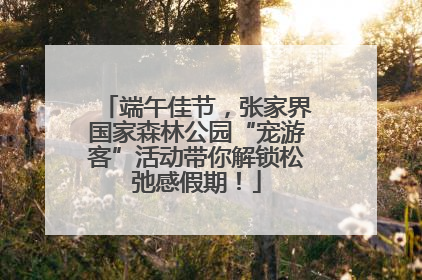 端午佳节，张家界国家森林公园“宠游客”活动带你解锁松弛感假期！