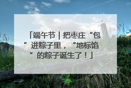 端午节｜把枣庄“包”进粽子里，“地标馅”的粽子诞生了！