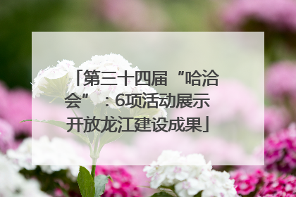第三十四届“哈洽会”：6项活动展示开放龙江建设成果