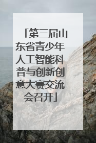 第三届山东省青少年人工智能科普与创新创意大赛交流会召开