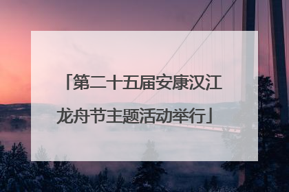 第二十五届安康汉江龙舟节主题活动举行
