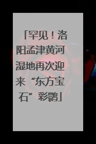罕见！洛阳孟津黄河湿地再次迎来“东方宝石”彩鹮