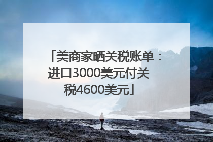 美商家晒关税账单：进口3000美元付关税4600美元