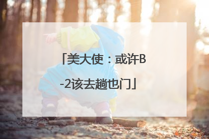 美大使：或许B-2该去趟也门