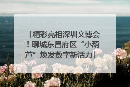 精彩亮相深圳文博会！聊城东昌府区“小葫芦”焕发数字新活力