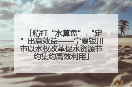 精打“水算盘” “定”出高效益——宁夏银川市以水权改革促水资源节约集约高效利用