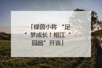 绿茵小将 “足”梦成长！榕江“园超”开赛