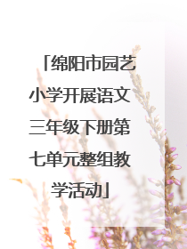 绵阳市园艺小学开展语文三年级下册第七单元整组教学活动
