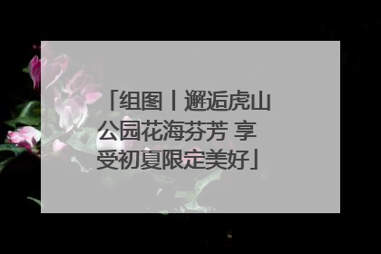 组图丨邂逅虎山公园花海芬芳 享受初夏限定美好