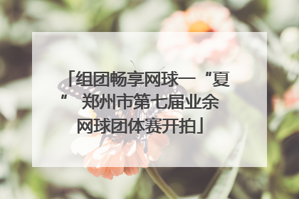 组团畅享网球一“夏” 郑州市第七届业余网球团体赛开拍