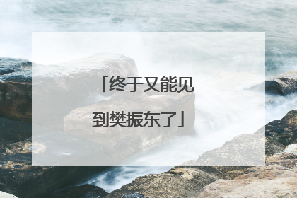 终于又能见到樊振东了