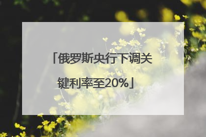 俄罗斯央行下调关键利率至20%