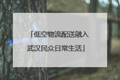 低空物流配送融入武汉民众日常生活