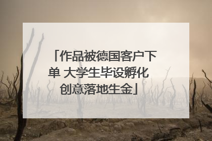 作品被德国客户下单 大学生毕设孵化创意落地生金