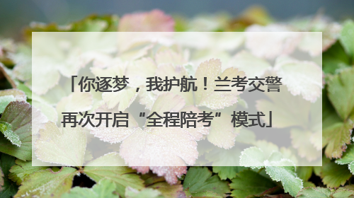 你逐梦，我护航！兰考交警再次开启“全程陪考”模式