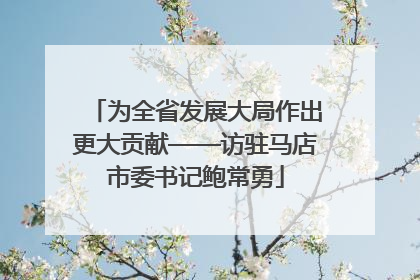 为全省发展大局作出更大贡献——访驻马店市委书记鲍常勇