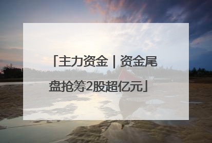 主力资金｜资金尾盘抢筹2股超亿元