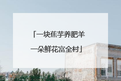 一块蕉芋养肥羊 一朵鲜花富全村