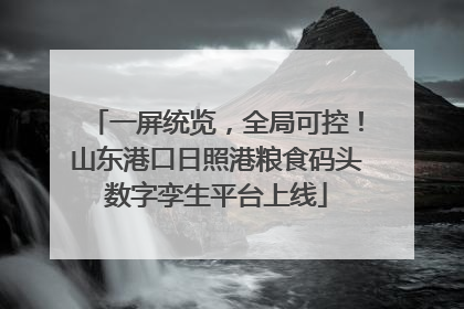 一屏统览，全局可控！山东港口日照港粮食码头数字孪生平台上线