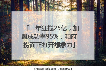 一年狂揽25亿，加盟成功率95%，和府捞面正打开想象力