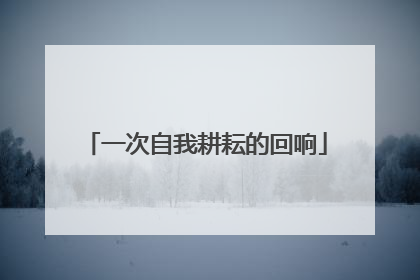 一次自我耕耘的回响