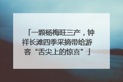 一颗杨梅旺三产，钟祥长滩四季采摘带给游客“舌尖上的惊喜”