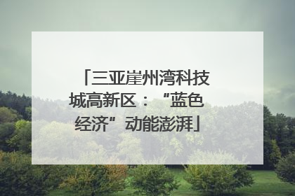 三亚崖州湾科技城高新区：“蓝色经济”动能澎湃