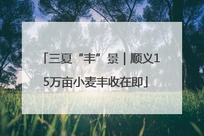 三夏“丰”景｜顺义15万亩小麦丰收在即